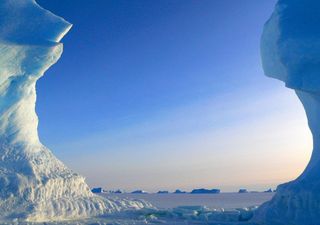 El pasado de la Antártica: Estudio revela importante advertencia climática en el ADN de un pulpo