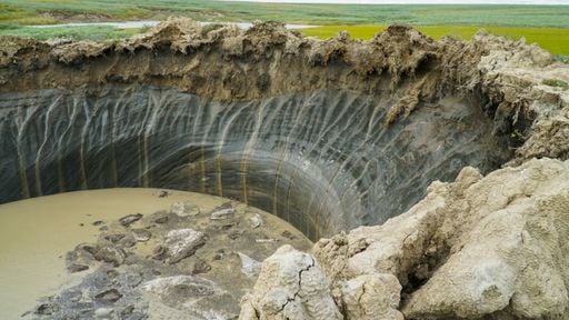 "Es un peligro real": una experta avisa de la relaci&oacute;n entre los virus &lsquo;zombis&rsquo; del &Aacute;rtico y el cambio clim&aacute;tico