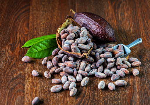 El plan para cultivar la &ldquo;moneda&rdquo; de los aztecas en tu propio patio y preparar chocolate desde la mazorca