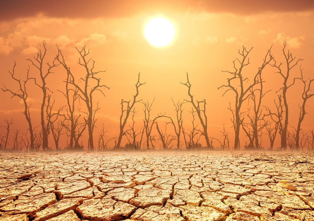 2025 calentamiento global cambio climático 2025 calentamiento global cambio climático