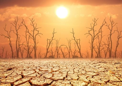 El planeta al l&iacute;mite: 2025 rompi&oacute; r&eacute;cords de calor en Asia Central, el Sahel y Europa del Norte