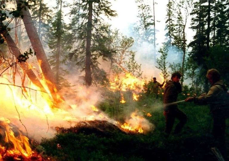 Incendios forestales Siberia Incendios forestales Siberia
