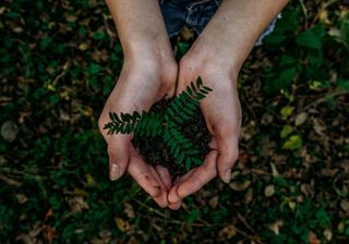 El planeta Tierra más verde que a fines del siglo XX