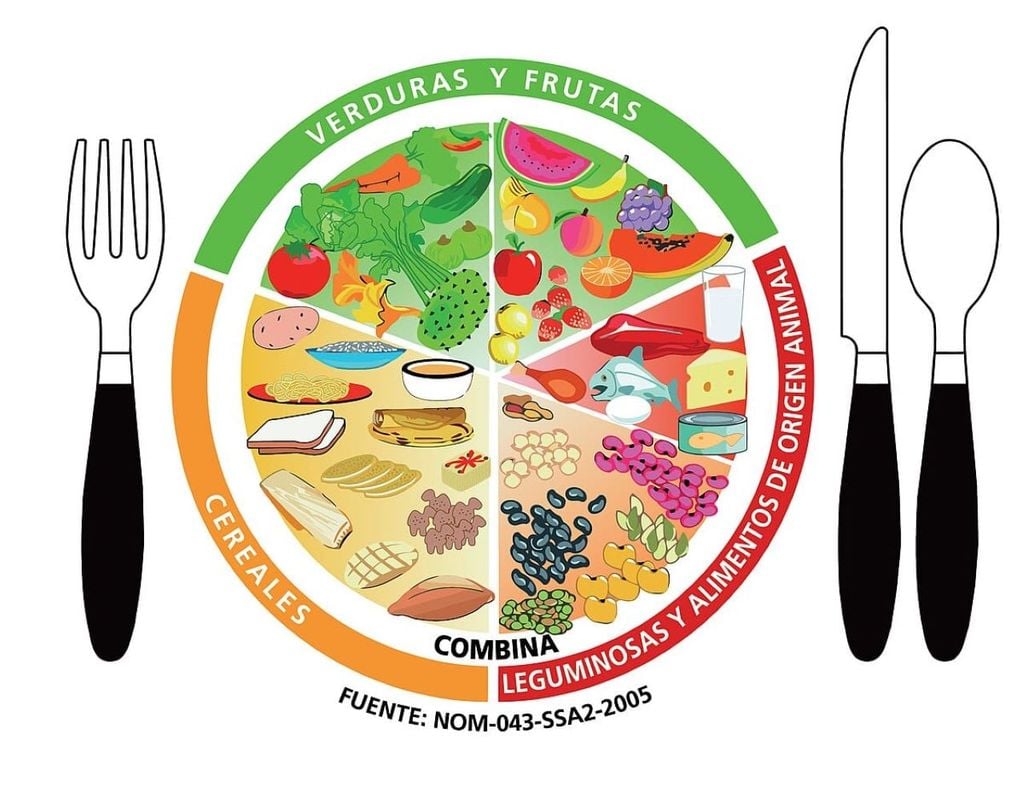 El Plato del Bien Comer también recomienda evitar los productos con sellos negros, que indican un alto contenido de grasas, sodio o azúcares, y perjudican la salud