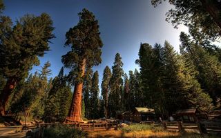 El polvo asiático proporciona nutrientes a California