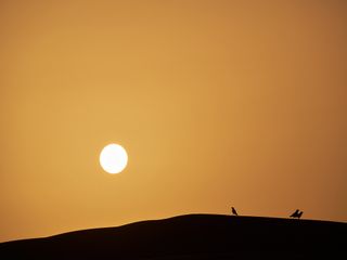 El polvo del Sáhara: un viaje sin fronteras