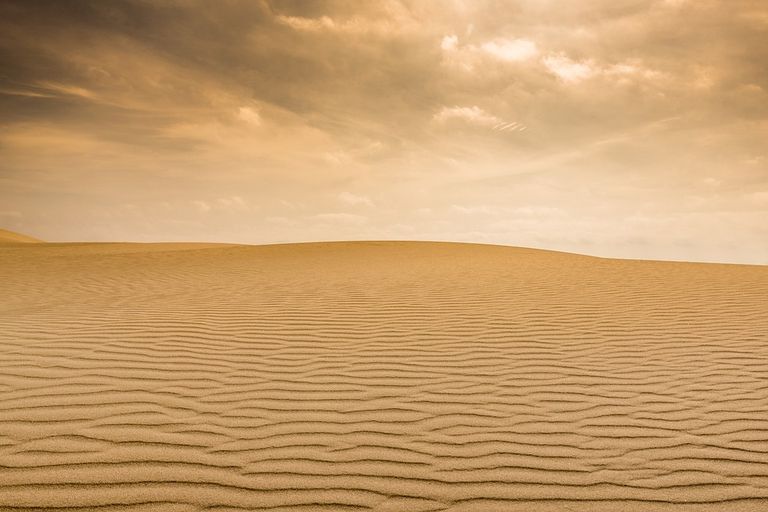 Pixabay Pixabay
