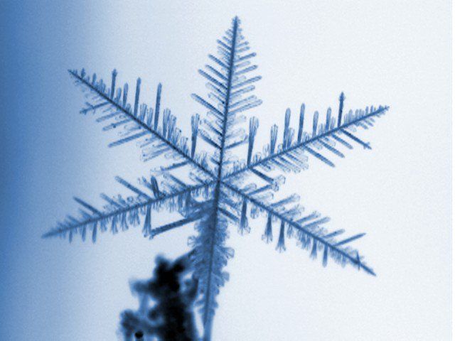 El Portal Del Mes: Cristales De Nieve Y La Magia De La Belleza Helada El Portal Del Mes: Cristales De Nieve Y La Magia De La Belleza Helada