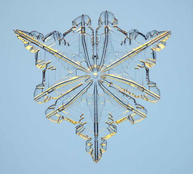 El Portal Del Mes: Cristales De Nieve Y La Magia De La Belleza Helada El Portal Del Mes: Cristales De Nieve Y La Magia De La Belleza Helada
