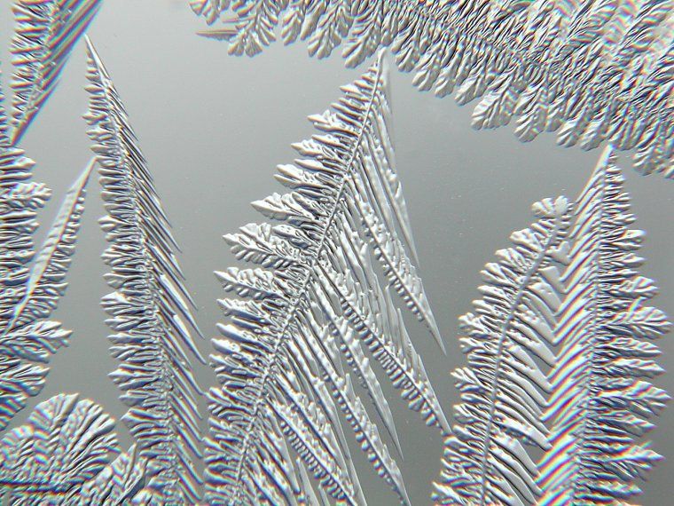 El Portal Del Mes: Cristales De Nieve Y La Magia De La Belleza Helada El Portal Del Mes: Cristales De Nieve Y La Magia De La Belleza Helada