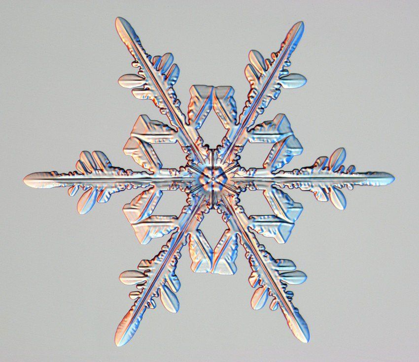 El Portal Del Mes: Cristales De Nieve Y La Magia De La Belleza Helada