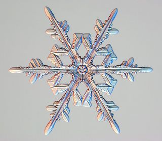 El portal del mes: cristales de nieve y la magia de la belleza helada