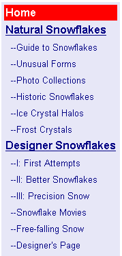 El Portal Del Mes: Cristales De Nieve Y La Magia De La Belleza Helada El Portal Del Mes: Cristales De Nieve Y La Magia De La Belleza Helada