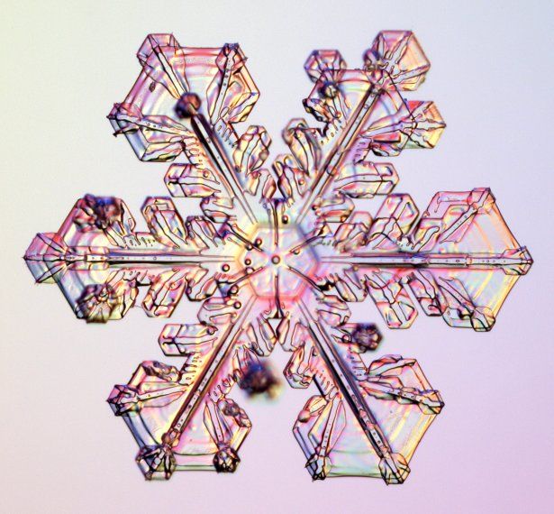 El Portal Del Mes: Cristales De Nieve Y La Magia De La Belleza Helada El Portal Del Mes: Cristales De Nieve Y La Magia De La Belleza Helada