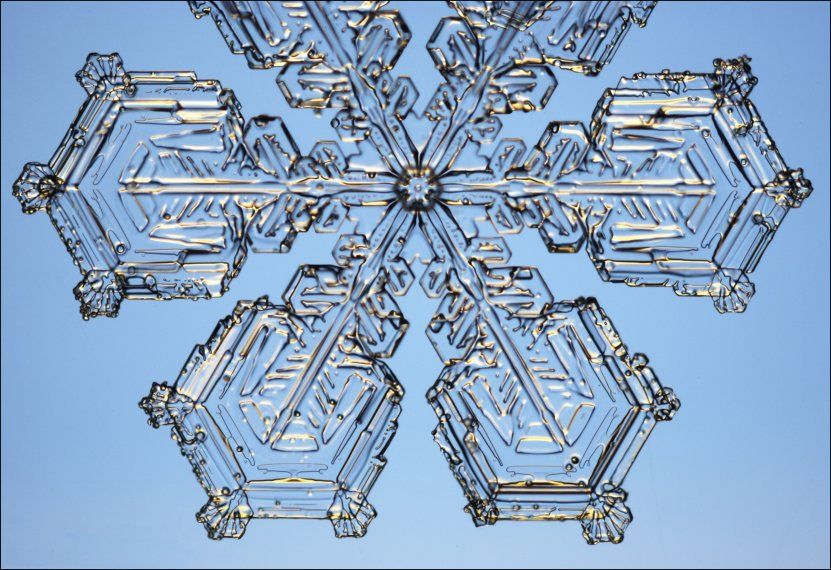 El Portal Del Mes: Cristales De Nieve Y La Magia De La Belleza Helada El Portal Del Mes: Cristales De Nieve Y La Magia De La Belleza Helada