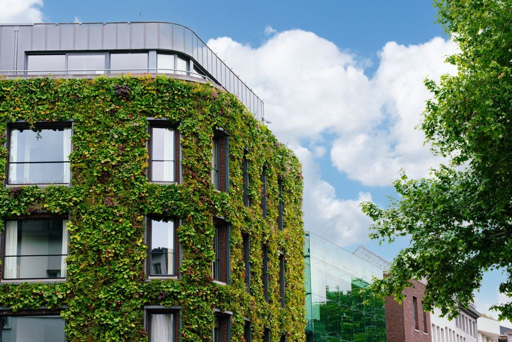 cambio climático Se quiere, se debe, se sabe cómo, pero falta financiación para tomar las medidas necesarias para proteger nuestra salud en las ciudades.