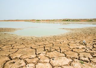 El principal afluente del río Amazonas alcanzó su nivel más bajo en los últimos 50 años 