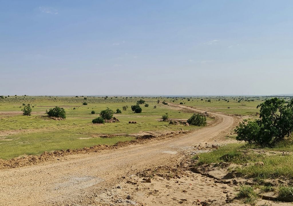 Sequia, Calor, Humedad, Argentina, Alerta, Lluvia, Campo, Agro