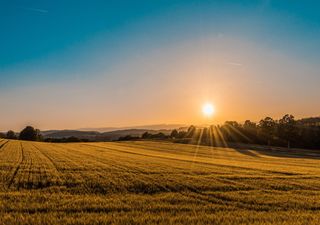 El pronóstico de lluvias y temperaturas para noviembre