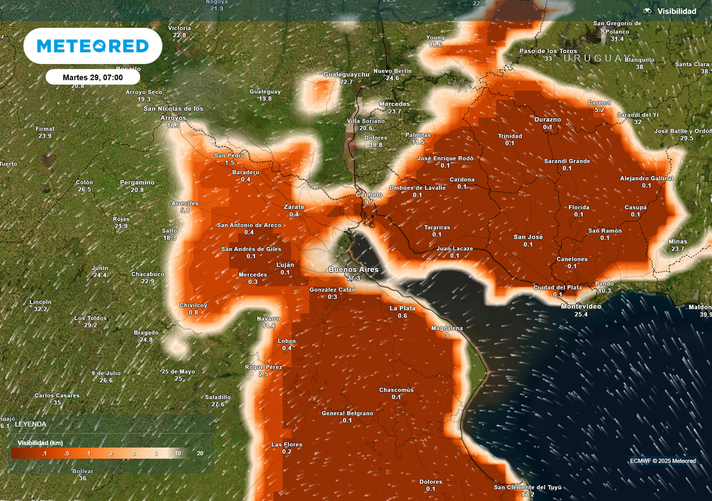 Visibilidad según el modelo ECMWF el martes 29 de julio de 2025 a las 7 h en el Gran Buenos Aires