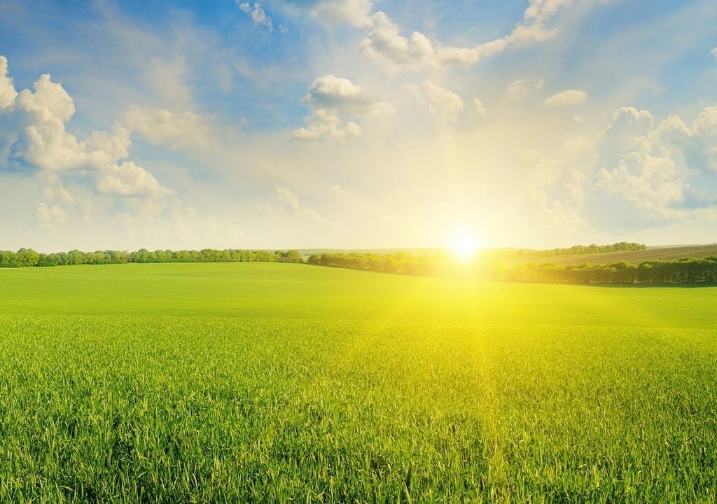 Un anticiclón se posicionará en México, favoreciendo una semana con calor y lluvias escasas; no obstante, habrá una DANA, frente frío y aire polar que regularán las condiciones.