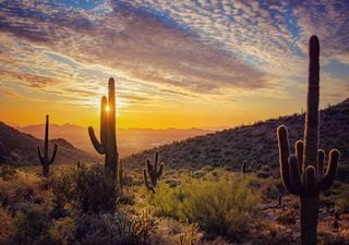 El pronóstico del tiempo para el último fin de semana de febrero