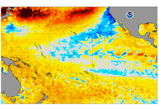 El pronóstico muestra un regreso sorpresivo de La Niña antes del invierno de 2025-2026. Esto es lo que puede pasar