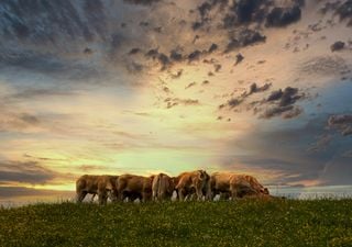 El pronóstico para el primer fin de semana de septiembre