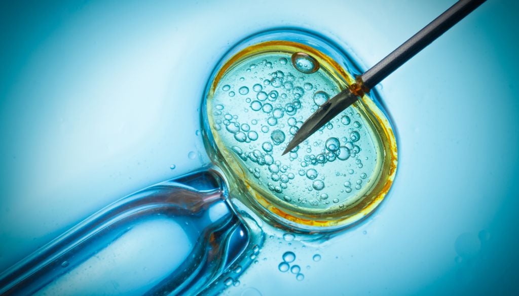 A fertilização in vitro de células geneticamente modificadas é uma das etapas do processo de recuperação de espécies extintas.