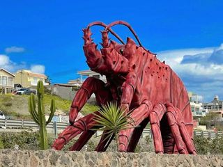 El pueblo de Baja California que no sale en las guías y tiene la mejor langosta de México
