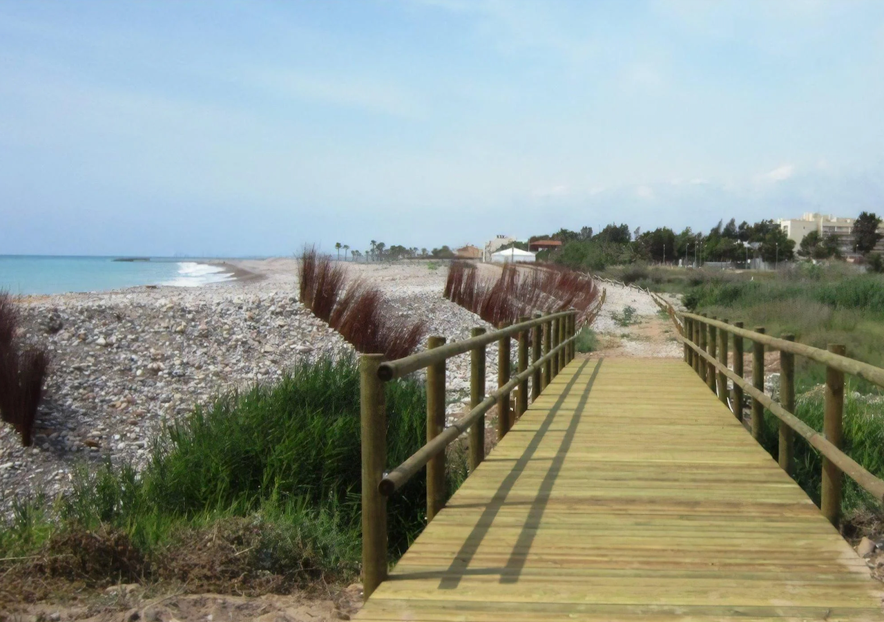 Playa de L’Estanyol, un arenal tranquilo junto a un antiguo humedal, ideal para la pesca y rodeado de vegetación protegida como el cardo marino y la rubia de mar.