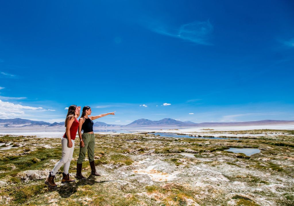 Salar de huasco Salar de huasco