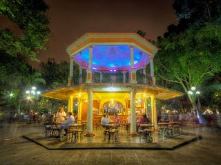 El pueblo de Veracruz que no sale en las guías y tiene el mejor café de altura del país