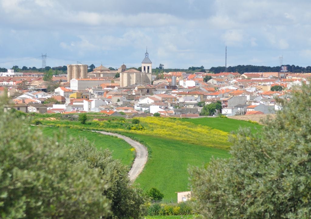 Vista panorámica de Villarejo de Salvanés, desde un campo de olivares.