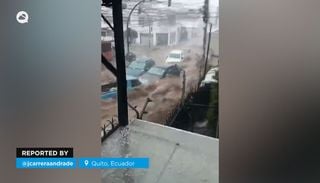 El Pueblo M&aacute;gico de Veracruz donde puedes caminar entre cafetales y probar caf&eacute; reci&eacute;n tostado