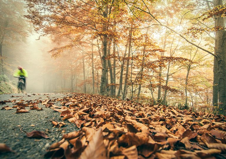 otoño españa otoño españa