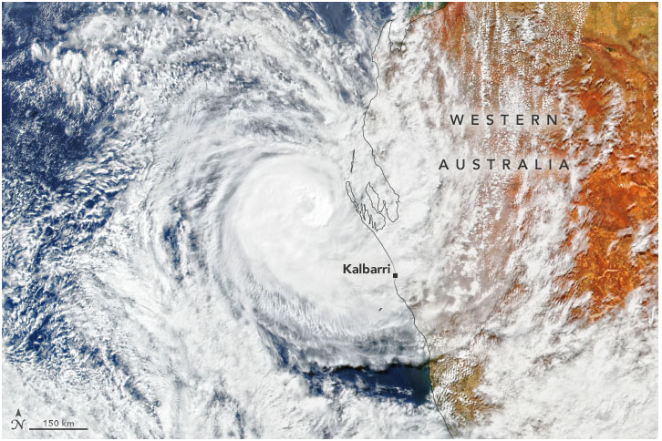 El Raro Ciclon Tropical Seroja Golpea Zonas De Australia
