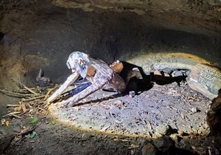 El recorrido nocturno que lleva a conocer la historia de los brujos de Chiloé: un viaje a los misterios de Quicaví