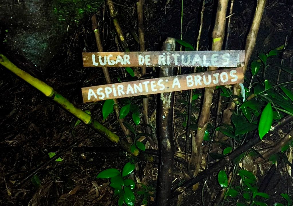 Bosque embrujado de Quicaví.