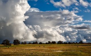 El regreso de las lluvias