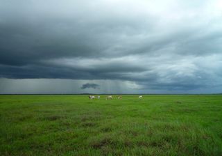 El retorno de las lluvias