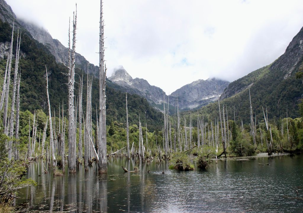 Parque Tagua Tagua. Parque Tagua Tagua.