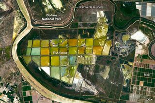 El río Guadalquivir desde la ISS