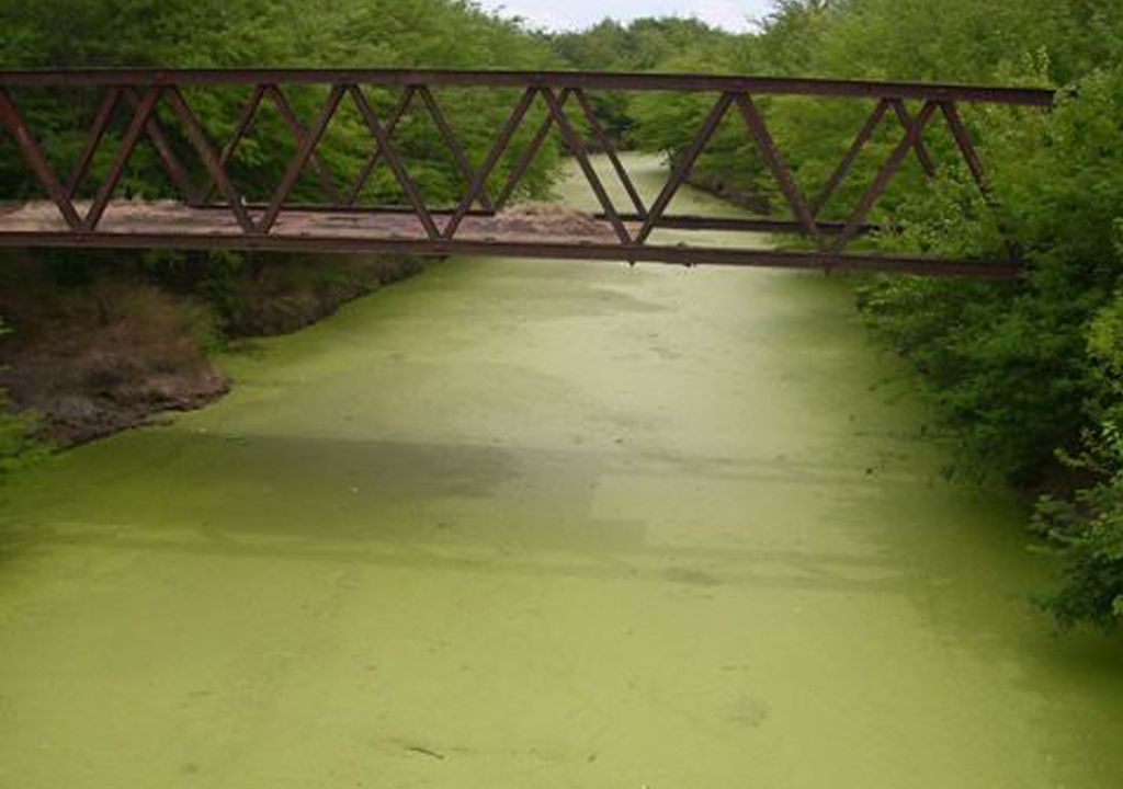Río Luján verde Río Luján verde