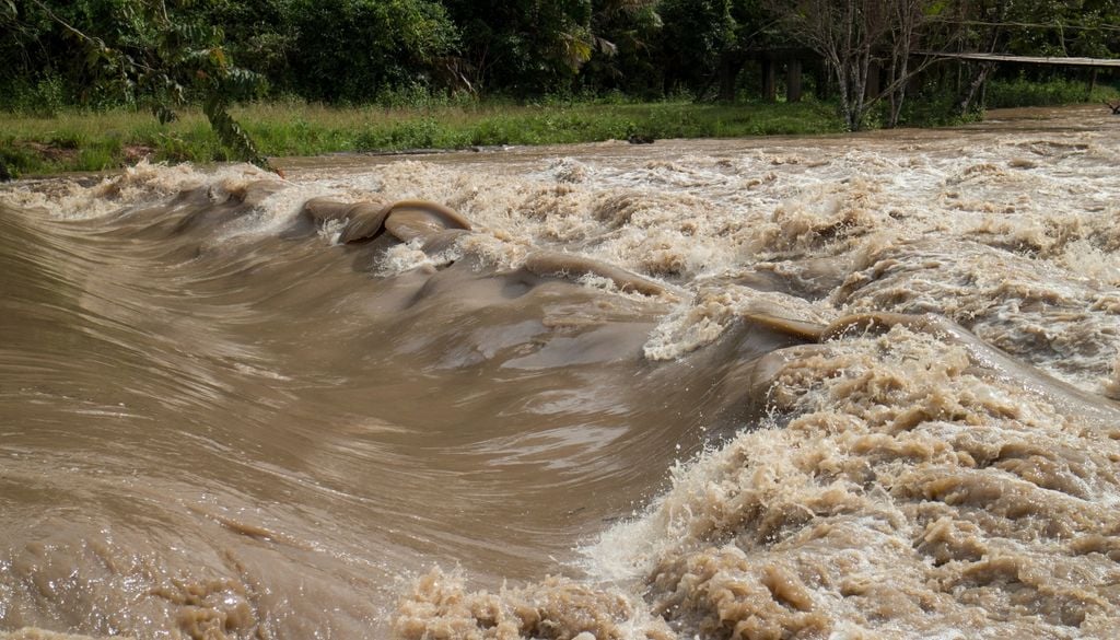 Crecida Río Uruguay El Niño alerta Corrientes Entre Ríos El Niño continuará intensificándose y que existe una probabilidad cercana al 100 % de que persista hasta febrero de 2027. Imágen ilustrativa.