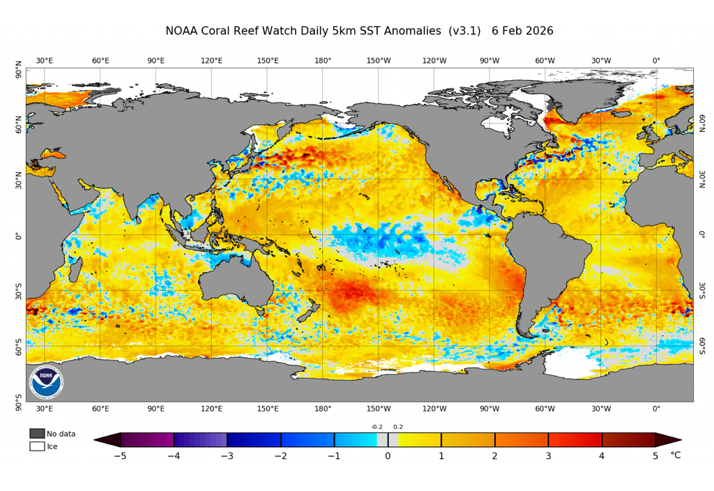 Anomalías de temperatura superficial del mar para el día 06 de febrero de 2026. Fuente: NOAA Coral Reef Watch.