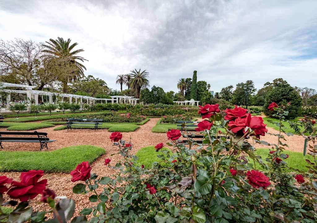 Cómo llegar y qué ver en El Rosedal de Palermo