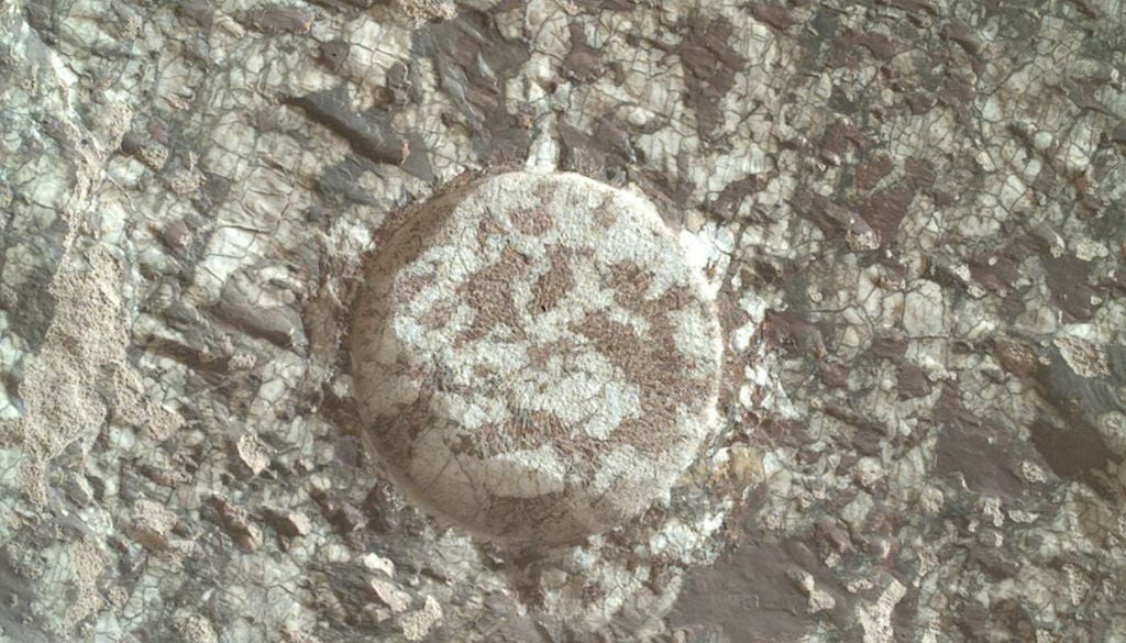 Imagen captada por el rover Perseverance Mars El rover Perseverance de la NASA captó esta imagen el 1 de septiembre de 2026, durante el Sol 1967 de la misión Mars 2020, con la cámara SHERLOC WATSON, instalada en la torreta situada al extremo de su brazo robótico. Imagen: NASA/JPL-Caltech.