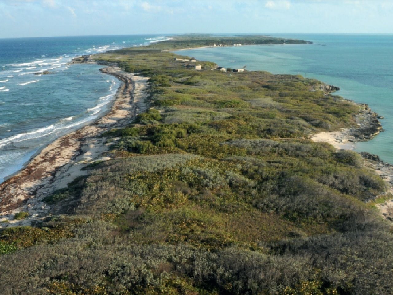 El Caribe, cuenta con espacio de incalculable riqueza natural. Imagen tomada de: Gobierno de México / CONANP