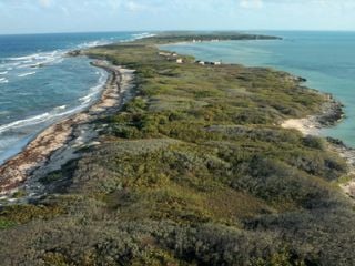 Así es Isla Contoy: el santuario natural de Quintana Roo